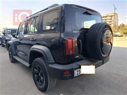 جريت وول 300